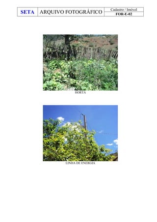 SETA ARQUIVO FOTOGRÁFICO
Cadastro / Imóvel
FOR-E-02
HORTA
LINHA DE ENERGIA
 