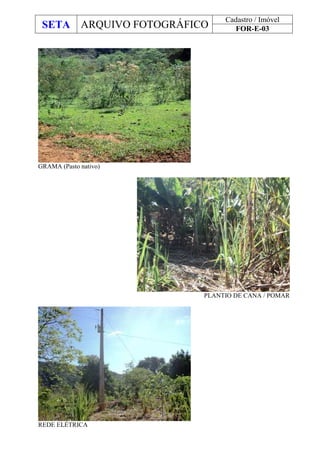 SETA ARQUIVO FOTOGRÁFICO
Cadastro / Imóvel
FOR-E-03
GRAMA (Pasto nativo)
PLANTIO DE CANA / POMAR
REDE ELÉTRICA
 