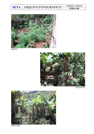 SETA ARQUIVO FOTOGRÁFICO
Cadastro / Imóvel
FOR-E-08
HORTA
BANANAL
BANANAL
 