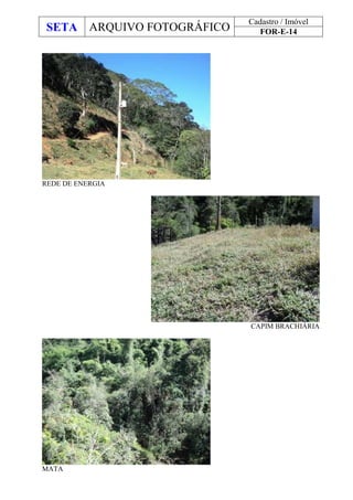 SETA ARQUIVO FOTOGRÁFICO
Cadastro / Imóvel
FOR-E-14
REDE DE ENERGIA
CAPIM BRACHIÁRIA
MATA
 
