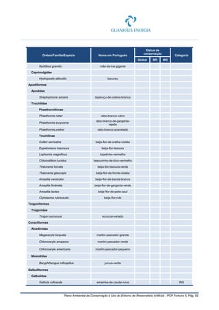 Plano Ambiental de Conservação e Uso do Entorno de Reservatório Artificial - PCH Fortuna II, Pág. 92
Ordem/Família/Espécie Nome em Português
Status de
conservação
Categoria
Global BR MG
Nyctibius grandis mãe-da-lua-gigante
Caprimulgidae
Hydropsalis albicollis bacurau
Apodiformes
Apodidae
Streptoprocne zonaris taperuçu-de-coleira-branca
Trochilidae
Phaethornithinae
Phaethornis ruber rabo-branco-rubro
Phaethornis eurynome
rabo-branco-de-garganta-
rajada
Phaethornis pretrei rabo-branco-acanelado
Trochilinae
Colibri serriostris beija-flor-de-orelha-violeta
Eupetomena macroura beija-flor-tesoura
Lophornis magnificus topetinho-vermelho
Chlorostilbon lucidus besourinho-de-bico-vermelho
Thalurania furcata beija-flor-tesoura-verde
Thalurania glaucopis beija-flor-de-fronte-violeta
Amazilia versicolor beija-flor-de-banda-branca
Amazilia fimbriata beija-flor-de-garganta-verde
Amazilia lactea beija-flor-de-peito-azul
Clytolaema rubricauda beija-flor-rubi
Trogoniformes
Trogonidae
Trogon surrucura surucuá-variado
Coraciiformes
Alcedinidae
Megaceryle torquata martim-pescador-grande
Chloroceryle amazona martim-pescador-verde
Chloroceryle americana martim-pescador-pequeno
Momotidae
Baryphthengus ruficapillus juruva-verde
Galbuliformes
Galbulidae
Galbula ruficauda ariramba-de-cauda-ruiva INS
 