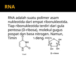 B_Materi_Genetik Biologi molekuler .pptx