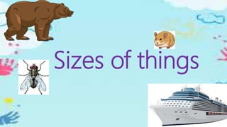 Sizes of things
 