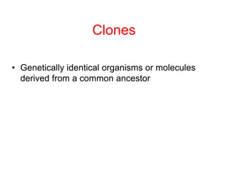 Clones
• Genetically identical organisms or molecules
derived from a common ancestor
 