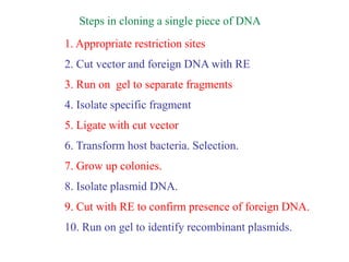 Steps in cloning a single piece of DNA
1. Appropriate restriction sites
2. Cut vector and foreign DNA with RE
3. Run on gel to separate fragments
4. Isolate specific fragment
5. Ligate with cut vector
6. Transform host bacteria. Selection.
7. Grow up colonies.
8. Isolate plasmid DNA.
9. Cut with RE to confirm presence of foreign DNA.
10. Run on gel to identify recombinant plasmids.
 