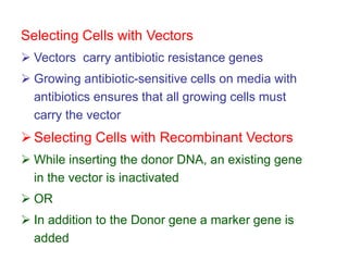 Selecting Cells with Vectors
 Vectors carry antibiotic resistance genes
 Growing antibiotic-sensitive cells on media with
antibiotics ensures that all growing cells must
carry the vector
Selecting Cells with Recombinant Vectors
 While inserting the donor DNA, an existing gene
in the vector is inactivated
 OR
 In addition to the Donor gene a marker gene is
added
 