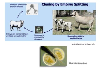 library.thinkquest.org
animalscience.ucdavis.edu
 