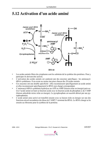 La traduction

5.12 Activation d’un acide aminé

BM 44
•
•
•
•

•

Les acides aminés libres du cytoplasme sont les substrats de la synthèse des protéines. Pour y
participer ils doivent être activés.
L’activation des acides aminés est catalysée par des enzymes spécifiques : les aminoacyltRNA synthétases. Il en existe au moins une pour chacun des 20 acides aminés.
Ces enzymes ont une double spécificité : elles reconnaissent spécifiquement un acide aminé
et elles reconnaissent spécifiquement le tRNA non chargé correspondant.
L’aminoacyl-tRNA synthétase hydrolyse un ATP en AMP (liaison riche en énergie) puis active l’acide aminé en liant sa fonction acide avec la fonction acide du phosphate α de l’AMP
(liaison anhydride mixte riche en énergie). Le pyrophosphate est aussitôt détruit par une pyrophosphatase.
L’acide aminé ainsi activé est transféré ensuite avec sa liaison riche en énergie sur une des
fonctions alcool secondaires du ribose de l’AMP 3’-terminal du tRNA. Le tRNA chargé se lie
ensuite au ribosome pour la synthèse de la protéine.

2009 - 2010

Biologie Moléculaire - Prs C. Housset et A. Raisonnier

105/207

 