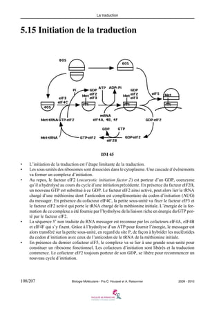La traduction

5.15 Initiation de la traduction

BM 45
•
•
•

•

•

L’initiation de la traduction est l’étape limitante de la traduction.
Les sous-unités des ribosomes sont dissociées dans le cytoplasme. Une cascade d’événements
va former un complexe d’initiation.
Au repos, le facteur eIF2 (eucaryotic initiation factor 2) est porteur d’un GDP, coenzyme
qu’il a hydrolysé au cours du cycle d’une initiation précédente. En présence du facteur eIF2B,
un nouveau GTP est substitué à ce GDP. Le facteur eIF2 ainsi activé, peut alors lier le tRNA
chargé d’une méthionine dont l’anticodon est complémentaire du codon d’initiation (AUG)
du messager. En présence du cofacteur eIF4C, la petite sous-unité va fixer le facteur eIF3 et
le facteur eIF2 activé qui porte le tRNA chargé de la méthionine initiale. L’énergie de la formation de ce complexe a été fournie par l’hydrolyse de la liaison riche en énergie du GTP porté par le facteur eIF2.
La séquence 5’ non traduite du RNA messager est reconnue par les cofacteurs eIF4A, eIF4B
et eIF4F qui s’y fixent. Grâce à l’hydrolyse d’un ATP pour fournir l’énergie, le messager est
alors transféré sur la petite sous-unité, en regard du site P, de façon à hybrider les nucléotides
du codon d’initiation avec ceux de l’anticodon de le tRNA de la méthionine initiale.
En présence du dernier cofacteur eIF5, le complexe va se lier à une grande sous-unité pour
constituer un ribosome fonctionnel. Les cofacteurs d’initiation sont libérés et la traduction
commence. Le cofacteur eIF2 toujours porteur de son GDP, se libère pour recommencer un
nouveau cycle d’initiation.

108/207

Biologie Moléculaire - Prs C. Housset et A. Raisonnier

2009 - 2010

 