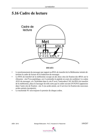 La traduction

5.16 Cadre de lecture

BM 45/1
•
•

•

Le positionnement du messager par rapport au RNA de transfert de la Méthionine initiale détermine le cadre de lecture de la traduction du messager.
Le RNA de transfert de la méthionine occupe un des deux sites de fixation des tRNA sur le
ribosome : site P (ou peptidique, car il contiendra le peptide en cours de synthèse). Le codon
AUG du messager, en s’hybridant dans le site P avec l’anticodon CAU du RNA de transfert
de la méthionine, place le messager de telle sorte que le codon suivant (N1N2N3) apparaisse
dans l’autre site de fixation : site A (ou acide aminé, car il servira à la fixation des nouveaux
acides aminés incorporés).
Le nucléotide N1 sera toujours le premier de chaque codon.

2009 - 2010

Biologie Moléculaire - Prs C. Housset et A. Raisonnier

109/207

 