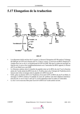 La traduction

5.17 Elongation de la traduction

BM 47
•

•

•

•

Les ribosomes initiés ont leur site A vacant. Le facteur d’élongation eEF1B catalyse l’échange
du GDP par un GTP sur le facteur eEF1A. Celui-ci, activé, va recevoir un tRNA chargé qu’il
viendra fixer sur ce site A, en hydrolysant le GTP en GDP. Dès que le codon du messager au
fond du site A a pu se lier complémentairement avec l’anticodon du tRNA apporté, le facteur
eEF1A est libéré avec son GDP.
Le ribosome catalyse alors le transfert du peptide situé sur le tRNA du site P sur la fonction
amine de l’acide aminé du tRNA du site A. Il utilise pour cela, l’énergie de l’hydrolyse de la
liaison ester riche en énergie entre le peptide et le tRNA du site P.
Enfin, grâce au facteur eEF2 et à l’hydrolyse d’un autre GTP, le tRNA du site P est libéré, le
messager, le tRNA restant et le peptide en cours de synthèse sont alors déplacés (translocation) du site A vers le site P, sans qu’il y ait de séparation entre le codon et l’anticodon.
Le site A est à nouveau libre pour recevoir le tRNA de l’acide aminé suivant.

110/207

Biologie Moléculaire - Prs C. Housset et A. Raisonnier

2009 - 2010

 