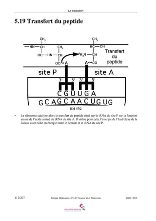 La traduction

5.19 Transfert du peptide

BM 47/2
•

Le ribosome catalyse alors le transfert du peptide situé sur le tRNA du site P sur la fonction
amine de l’acide aminé du tRNA du site A. Il utilise pour cela, l’énergie de l’hydrolyse de la
liaison ester riche en énergie entre le peptide et le tRNA du site P.

112/207

Biologie Moléculaire - Prs C. Housset et A. Raisonnier

2009 - 2010

 