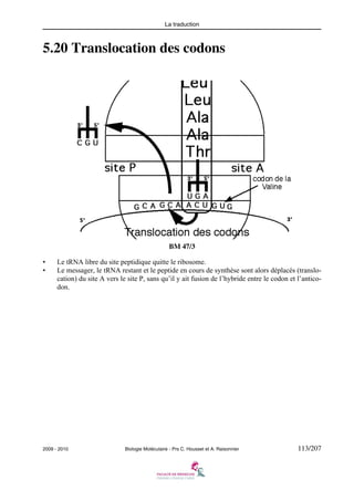 La traduction

5.20 Translocation des codons

BM 47/3
•
•

Le tRNA libre du site peptidique quitte le ribosome.
Le messager, le tRNA restant et le peptide en cours de synthèse sont alors déplacés (translocation) du site A vers le site P, sans qu’il y ait fusion de l’hybride entre le codon et l’anticodon.

2009 - 2010

Biologie Moléculaire - Prs C. Housset et A. Raisonnier

113/207

 