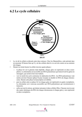 La réplication

6.2 Le cycle cellulaire

BM 55
•

•

La vie de la cellule se déroule entre deux mitoses. Chez les Mammifères, cette période dure
en moyenne 30 heures bien qu’il y ait des cellules dont la vie soit très courte ou au contraire
très longue.
Durant ces trente heures la cellule traverse quatre phases :
—

la phase G1 où le génome étant diploïde, chaque gène est représenté en deux exemplaires. La chromatine est accessible aux RNA-polymérases qui transcrivent les gènes en
messagers, qui seront à leur tour traduits.
— vers la moitié du cycle commence la réplication du DNA : les DNA-polymérases vont
mettre environ 8 heures (phase S) pour recopier en double le DNA de chaque chromosome. Durant cette phase la transcription est inhibée.
— puis la cellule entre en phase G2 où chaque gène est représenté en quatre exemplaires.
La chromatine est à nouveau accessible aux RNA-polymérases qui recommencent à
transcrire.
— enfin survient la mitose, qui donne naissance à deux cellules filles. Chacune recevra une
des copies identiques du DNA de chaque chromosome et chaque gène y sera représenté
en deux exemplaires.

2009 - 2010

Biologie Moléculaire - Prs C. Housset et A. Raisonnier

123/207

 
