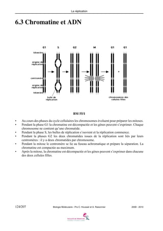 La réplication

6.3 Chromatine et ADN

BM 55/1
•
•
•
•
•
•

Au cours des phases du cycle cellulaires les chromosomes évoluent pour préparer les mitoses.
Pendant la phase G1 la chromatine est décompactée et les gènes peuvent s’exprimer. Chaque
chromosome ne contient qu’une chromatide.
Pendant la phase S, les bulles de réplication s’ouvrent et la réplication commence.
Pendant la phases G2 les deux chromatides issues de la réplication sont liés par leurs
centromères : il y a deux chromatides par chromosome.
Pendant la mitose le centromère se lie au fuseau achromatique et prépare la séparation. La
chromatine est compactée au maximum.
Après la mitose, la chromatine est décompactée et les gènes peuvent s’exprimer dans chacune
des deux cellules filles.

124/207

Biologie Moléculaire - Prs C. Housset et A. Raisonnier

2009 - 2010

 