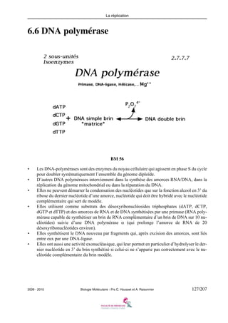 La réplication

6.6 DNA polymérase

BM 56
•
•
•

•

•
•

Les DNA-polymérases sont des enzymes du noyau cellulaire qui agissent en phase S du cycle
pour doubler systématiquement l’ensemble du génome diploïde.
D’autres DNA polymérases interviennent dans la synthèse des amorces RNA/DNA, dans la
réplication du génome mitochondrial ou dans la réparation du DNA.
Elles ne peuvent démarrer la condensation des nucléotides que sur la fonction alcool en 3’ du
ribose du dernier nucléotide d’une amorce, nucléotide qui doit être hybridé avec le nucléotide
complémentaire qui sert de modèle.
Elles utilisent comme substrats des désoxyribonucléosides triphosphates (dATP, dCTP,
dGTP et dTTP) et des amorces de RNA et de DNA synthétisées par une primase (RNA polymérase capable de synthétiser un brin de RNA complémentaire d’un brin de DNA sur 10 nucléotides) suivie d’une DNA polymérase α (qui prolonge l’amorce de RNA de 20
désoxyribonucléotides environ).
Elles synthétisent le DNA nouveau par fragments qui, après excision des amorces, sont liés
entre eux par une DNA-ligase.
Elles ont aussi une activité exonucléasique, qui leur permet en particulier d’hydrolyser le dernier nucléotide en 3’ du brin synthétisé si celui-ci ne s’apparie pas correctement avec le nucléotide complémentaire du brin modèle.

2009 - 2010

Biologie Moléculaire - Prs C. Housset et A. Raisonnier

127/207

 