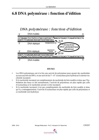 La réplication

6.8 DNA polymérase : fonction d’édition

BM 56/2
•

•

•

Les DNA polymérases ont à la fois une activité de polymérase pour ajouter des nucléotides
au nouveau brin de DNA, et une activité de 3’→5’ exonucléase pour hydrolyser le dernier nucléotide incorporé.
Si le nucléotide incorporé est complémentaire du nucléotide du brin modèle et donc que l’hybridation des bases se fait normalement, l’activité de polymérase est plus rapide que celle
d’exonucléase et le nucléotide suivant va être incorporé.
Si le nucléotide incorporé n’est pas complémentaire du nucléotide du brin modèle et donc
qu’il y a mésappariement, l’activité d’exonucléase est plus rapide que celle de polymérase et
ce nucléotide sera hydrolysé.

2009 - 2010

Biologie Moléculaire - Prs C. Housset et A. Raisonnier

129/207

 