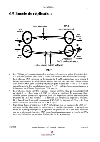 La réplication

6.9 Boucle de réplication

BM 57
•
•

•

•

Les DNA-polymérases commencent leur synthèse en de nombreux points d’initiation. Suite
à la liaison de protéines spécifiques, la double hélice s’ouvre pour permettre le démarrage.
La synthèse de DNA commence sur des amorces de RNA/DNA constituées par la primase et
la DNA polymérase a. La réplication se poursuit dans une direction : dans ce sens l’un des
deux brins du DNA (brin « direct ») est parcouru par l’enzyme dans le sens 3’ → 5’ ce qui
permet la synthèse d’un autre brin dans le sens 5’ → 3’. Les DNA-ligases assurent ensuite la
liaison entre les différents fragments du DNA nouveau.
La synthèse de l’autre brin (brin « retardé ») est plus complexe parce que l’enzyme parcourt
ce brin de 5’ → 3’. La primase et la DNA polymérase α synthétisent des amorces de 30 nucléotides en avant de la zone de réplication, et la DNA polymerase construit à la suite de petits
fragments de DNA dans le sens 5’ → 3’ (environ 200 nucléotides ; fragments d’Okazaki).
Des ribonucléases détruisent les amorces de RNA/DNA du fragment précédent et les fragments sont ensuite reliés entre eux par la DNA-ligase.
Il existe une dizaine d’isoenzymes de DNA polymérases chez les eucaryotes. La DNA polymérase α, associée à la primase est responsable de la synthèse des amorces. La DNA polymérase δ est la principale enzyme de la réplication en synthétisant sur le brin direct aussi bien
que sur le brin retardé. Les autres DNA polymérases interviennent dans la synthèse du DNA
mitochondrial ou dans les processus de réparation du DNA génomique.

130/207

Biologie Moléculaire - Prs C. Housset et A. Raisonnier

2009 - 2010

 