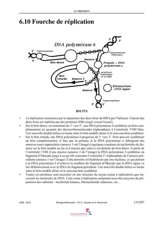 La réplication

6.10 Fourche de réplication

BM 57/1
•
•

•

•

La réplication commence par la séparation des deux brins du DNA par l’hélicase. Chacun des
deux brins est stabilisé par des protéines SSB (single strand bound).
Sur le brin direct, en remontant de 3’ vers 5’, une DNA polymérase δ synthétise un brin complémentaire en ajoutant des désoxyribonucléosides triphosphates à l’extrémité 3’OH libre.
Une nouvelle double hélice se forme entre le brin modèle direct et le nouveau brin synthétisé.
Sur le brin retardé, une DNA polymérase δ progresse de 5’ vers 3’. Pour pouvoir synthétiser
un brin complémentaire, il faut que la primase et la DNA polymérase α fabriquent des
amorces assez rapprochées (amorce 3 sur l’image) à quelques centaines de nucléotides de distance sur le brin modèle au fur et à mesure que celui-ci est détaché du brin direct. A partir de
l’extrémité 3’OH d’une amorce (amorce 2 de l’image) la DNA polymérase δ synthétise un
fragment d’Okazaki jusqu’à ce qu’elle rencontre l’extrémité 5’-triphosphate de l’amorce précédente (amorce 1 sur l’image). Cette dernière est hydrolysée par une nucléase, ce qui permet
à la DNA polymérase δ d’achever la synthèse du fragment d’Okazaki que la DNA ligase va
lier définitivement avec le DNA du fragment précédent. Une nouvelle double hélice se forme
entre le brin modèle direct et le nouveau brin synthétisé.
Toutes ces protéines sont associées en une structure du noyau (usine à réplication) que traversent les molécules de DNA. Cette usine à réplication comprend aussi des enzymes de préparation des substrats : nucléotide kinases, ribonucléotide réductase, etc...

2009 - 2010

Biologie Moléculaire - Prs C. Housset et A. Raisonnier

131/207

 