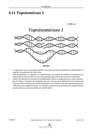 La réplication

6.11 Topoisomérase I

BM 58/1
•
•
•

La réplication ou la transcription du DNA nécessite une fusion partielle de la double hélice et
modifie l’enroulement des deux brins.
Afin de permettre ces réactions, la topoisomérase est capable de modifier l’enroulement en
hydrolysant un brin du DNA et en le reconstituant après avoir fait le tour de l’autre brin.
Après cette opération, la torsion de la double hélice tend à se rapprocher de la valeur normale :
pas de l’hélice = 10 paires de nucléotides par tour. Au cours de la réplication et de la traduction
le pas de l’hélice diminue en avant des polymérases et l’hélicase (une des topoisomérases) travaille alors pour augmenter le pas. Au contraire en arrière des polymérases les topoisomérases
ajoutent des tours pour reconstituer la double hélice.

132/207

Biologie Moléculaire - Prs C. Housset et A. Raisonnier

2009 - 2010

 