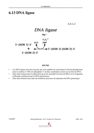 La réplication

6.13 DNA ligase

BM 58/3
•
•
•

Les DNA ligases sont des enzymes qui sont capables de reconstituer la liaison phosphoester
entre le carbone 3’-OH et le phosphate-5’ de deux nucléotides voisins sur un brin de DNA.
Elles interviennent dans la réplication pour lier ensemble les brins de DNA ou les fragments
d’Okazaki synthétisés par les DNA polymérases.
Elles interviennent aussi dans de nombreux processus de réparation du DNA génomique.

134/207

Biologie Moléculaire - Prs C. Housset et A. Raisonnier

2009 - 2010

 