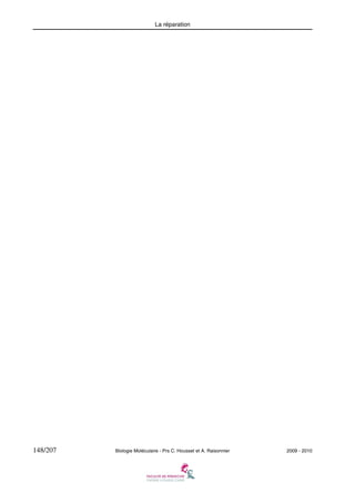 La réparation

148/207

Biologie Moléculaire - Prs C. Housset et A. Raisonnier

2009 - 2010

 