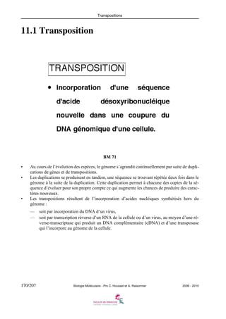 Transpositions

11.1 Transposition

BM 71
•
•

•

Au cours de l’évolution des espèces, le génome s’agrandit continuellement par suite de duplications de gènes et de transpositions.
Les duplications se produisent en tandem, une séquence se trouvant répétée deux fois dans le
génome à la suite de la duplication. Cette duplication permet à chacune des copies de la séquence d’évoluer pour son propre compte ce qui augmente les chances de produire des caractères nouveaux.
Les transpositions résultent de l’incorporation d’acides nucléiques synthétisés hors du
génome :
—
—

170/207

soit par incorporation du DNA d’un virus,
soit par transcription réverse d’un RNA de la cellule ou d’un virus, au moyen d’une réverse-transcriptase qui produit un DNA complémentaire (cDNA) et d’une transposase
qui l’incorpore au génome de la cellule.

Biologie Moléculaire - Prs C. Housset et A. Raisonnier

2009 - 2010

 