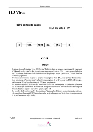 Transpositions

11.3 Virus

BM 72/5
•

•

•

•

L’acide ribonucléique du virus HIV lorsqu’il pénètre dans le sang est reconnu par le récepteur
CD4 des lymphocytes T4. La formation du complexe récepteur CD4 - virus entraîne la fusion
de l’enveloppe du virus et de la membrane du lymphocyte, et par conséquent l’entrée du virus
dans le cytoplasme.
Ce noyau contient une enzyme la réverse transcriptase et un RNA viral porteur de l’information génétique. L’enzyme catalyse la rétrotranscription de le RNA viral en DNA et l’incorporation de ce DNA (provirus) dans le DNA du lymphocyte.
Le provirus engendre de nouvelles particules virales par transcription et traduction et la mort
de la cellule par destruction de son DNA. Les particules virales nouvelles sont libérées pour
transmettre le « signal » à d’autres lymphocytes T4.
Le nombre de lymphocytes T4 diminue jusqu’à ce que les défenses immunitaires du sujet deviennent insuffisantes (SIDA) ce qui entraîne le développement d’infections opportunistes et
à terme la mort du sujet atteint.

172/207

Biologie Moléculaire - Prs C. Housset et A. Raisonnier

2009 - 2010

 