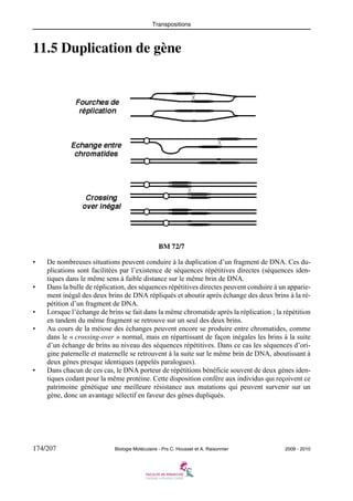 Transpositions

11.5 Duplication de gène

BM 72/7
•

•

•
•

•

De nombreuses situations peuvent conduire à la duplication d’un fragment de DNA. Ces duplications sont facilitées par l’existence de séquences répétitives directes (séquences identiques dans le même sens à faible distance sur le même brin de DNA.
Dans la bulle de réplication, des séquences répétitives directes peuvent conduire à un appariement inégal des deux brins de DNA répliqués et aboutir après échange des deux brins à la répétition d’un fragment de DNA.
Lorsque l’échange de brins se fait dans la même chromatide après la réplication ; la répétition
en tandem du même fragment se retrouve sur un seul des deux brins.
Au cours de la méiose des échanges peuvent encore se produire entre chromatides, comme
dans le « crossing-over » normal, mais en répartissant de façon inégales les brins à la suite
d’un échange de brins au niveau des séquences répétitives. Dans ce cas les séquences d’origine paternelle et maternelle se retrouvent à la suite sur le même brin de DNA, aboutissant à
deux gènes presque identiques (appelés paralogues).
Dans chacun de ces cas, le DNA porteur de répétitions bénéficie souvent de deux gènes identiques codant pour la même protéine. Cette disposition confère aux individus qui reçoivent ce
patrimoine génétique une meilleure résistance aux mutations qui peuvent survenir sur un
gène, donc un avantage sélectif en faveur des gènes dupliqués.

174/207

Biologie Moléculaire - Prs C. Housset et A. Raisonnier

2009 - 2010

 