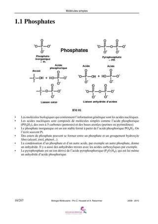 Molécules simples

1.1 Phosphates

BM 01
•
•
•
•
•
•

Les molécules biologiques qui contiennent l’information génétique sont les acides nucléiques.
Les acides nucléiques sont composés de molécules simples comme l’acide phosphorique
(PO4H3), des oses à 5 carbones (pentoses) et des bases azotées (purines ou pyrimidines).
Le phosphate inorganique est un ion stable formé à partir de l’acide phosphorique PO4H3. On
l’écrit souvent Pi.
Des esters de phosphate peuvent se former entre un phosphate et un groupement hydroxyle
libre (alcool, énol, phénol...).
La condensation d’un phosphate et d’un autre acide, par exemple un autre phosphate, donne
un anhydride. Il y a aussi des anhydrides mixtes avec les acides carboxyliques par exemple.
Le pyrophosphate est un ion dérivé de l’acide pyrophosphorique (P2O7H4), qui est lui même
un anhydride d’acide phosphorique.

18/207

Biologie Moléculaire - Prs C. Housset et A. Raisonnier

2009 - 2010

 