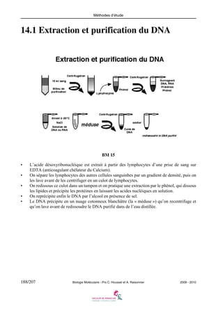Méthodes d’étude

14.1 Extraction et purification du DNA

BM 15
•
•
•
•
•

L’acide désoxyribonucléique est extrait à partir des lymphocytes d’une prise de sang sur
EDTA (anticoagulant chélateur du Calcium).
On sépare les lymphocytes des autres cellules sanguinbes par un gradient de densité, puis on
les lave avant de les centrifuger en un culot de lymphocytes.
On redissous ce culot dans un tampon et on pratique une extraction par le phénol, qui dissous
les lipides et précipite les protéines en laissant les acides nucléiques en solution.
On reprécipite enfin le DNA par l’alcool en présence de sel.
Le DNA précipite en un nuage cotonneux blanchâtre (la « méduse ») qu’on recentrifuge et
qu’on lave avant de redissoudre le DNA purifié dans de l’eau distillée.

188/207

Biologie Moléculaire - Prs C. Housset et A. Raisonnier

2009 - 2010

 