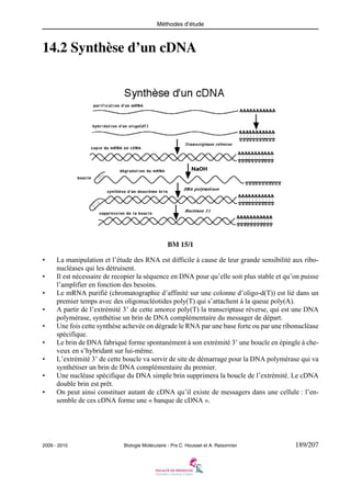 Méthodes d’étude

14.2 Synthèse d’un cDNA

BM 15/1
•
•
•
•
•
•
•
•
•

La manipulation et l’étude des RNA est difficile à cause de leur grande sensibilité aux ribonucléases qui les détruisent.
Il est nécessaire de recopier la séquence en DNA pour qu’elle soit plus stable et qu’on puisse
l’amplifier en fonction des besoins.
Le mRNA purifié (chromatographie d’affinité sur une colonne d’oligo-d(T)) est lié dans un
premier temps avec des oligonucléotides poly(T) qui s’attachent à la queue poly(A).
A partir de l’extrémité 3’ de cette amorce poly(T) la transcriptase réverse, qui est une DNA
polymérase, synthétise un brin de DNA complémentaire du messager de départ.
Une fois cette synthèse achevée on dégrade le RNA par une base forte ou par une ribonucléase
spécifique.
Le brin de DNA fabriqué forme spontanément à son extrémité 3’ une boucle en épingle à cheveux en s’hybridant sur lui-même.
L’extrémité 3’ de cette boucle va servir de site de démarrage pour la DNA polymérase qui va
synthétiser un brin de DNA complémentaire du premier.
Une nucléase spécifique du DNA simple brin supprimera la boucle de l’extrémité. Le cDNA
double brin est prêt.
On peut ainsi constituer autant de cDNA qu’il existe de messagers dans une cellule : l’ensemble de ces cDNA forme une « banque de cDNA ».

2009 - 2010

Biologie Moléculaire - Prs C. Housset et A. Raisonnier

189/207

 