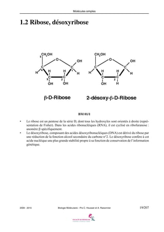 Molécules simples

1.2 Ribose, désoxyribose

BM 01/1
•

•

Le ribose est un pentose de la série D, dont tous les hydroxyles sont orientés à droite (représentation de Fisher). Dans les acides ribonucléiques (RNA), il est cyclisé en ribofuranose :
anomère β spécifiquement.
Le désoxyribose, composant des acides désoxyribonucléiques (DNA) est dérivé du ribose par
une réduction de la fonction alcool secondaire du carbone n°2. Le désoxyribose confère à cet
acide nucléique une plus grande stabilité propre à sa fonction de conservation de l’information
génétique.

2009 - 2010

Biologie Moléculaire - Prs C. Housset et A. Raisonnier

19/207

 