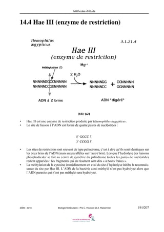 Méthodes d’étude

14.4 Hae III (enzyme de restriction)

BM 16/1
•
•

Hae III est une enzyme de restriction produite par Haemophilus aegypticus.
Le site de liaison à l’ADN est formé de quatre paires de nucléotides :
5’ GGCC 3’
3’ CCGG 5’

•

•

Les sites de restriction sont souvent de type palindrome, c’est à dire qu’ils sont identiques sur
les deux brins de l’ADN (mais antiparallèles sur l’autre brin). Lorsque l’hydrolyse des liaisons
phosphodiester se fait au centre de symétrie du palindrome toutes les paires de nucléotides
restent appariées : les fragments qui en résultent sont dits « à bouts francs ».
La méthylation de la cytosine immédiatement en aval du site d’hydrolyse inhibe la reconnaissance du site par Hae III. L’ADN de la bactérie ainsi méthylé n’est pas hydrolysé alors que
l’ADN parasite qui n’est pas méthylé sera hydrolysé.

2009 - 2010

Biologie Moléculaire - Prs C. Housset et A. Raisonnier

191/207

 