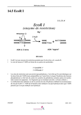 Méthodes d’étude

14.5 EcoR I

BM 16/11
•
•

EcoR I est une enzyme de restriction produite par Escherichia coli, souche R.
Le site de liaison à l’ADN est formé de six paires de nucléotides :
5’ GAATTC 3’
3’ CTTAAG 5’

•

•

Les sites de restriction sont souvent de type palindrome, c’est à dire qu’ils sont identiques sur
les deux brins de l’ADN (mais antiparallèles sur l’autre brin). Lorsque l’hydrolyse des liaisons
phosphodiester se fait loin du centre de symétrie du palindrome certaines paires de nucléotides restent non appariées : les fragments qui en résultent sont dits « à bouts collants ».
La méthylation des adénines ou de la cytosine du site d’hydrolyse inhibent la reconnaissance
du site par EcoR I. L’ADN de la bactérie ainsi méthylé n’est pas hydrolysé alors que l’ADN
parasite qui n’est pas méthylé sera hydrolysé.

192/207

Biologie Moléculaire - Prs C. Housset et A. Raisonnier

2009 - 2010

 