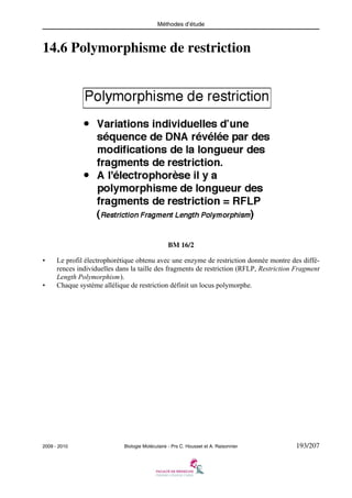 Méthodes d’étude

14.6 Polymorphisme de restriction

BM 16/2
•

•

Le profil électrophorétique obtenu avec une enzyme de restriction donnée montre des différences individuelles dans la taille des fragments de restriction (RFLP, Restriction Fragment
Length Polymorphism).
Chaque système allélique de restriction définit un locus polymorphe.

2009 - 2010

Biologie Moléculaire - Prs C. Housset et A. Raisonnier

193/207

 