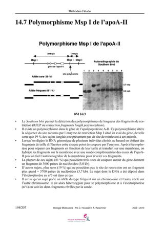 Méthodes d’étude

14.7 Polymorphisme Msp I de l’apoA-II

BM 16/3
•
•

•

•
•

•

Le Southern blot permet la détection des polymorphismes de longueur des fragments de restriction (RFLP ou restriction fragments length polymorphism).
Il existe un polymorphisme dans le gène de l’apolipoprotéine A-II. Ce polymorphisme altère
la séquence du site reconnu par l’enzyme de restriction Msp I situé en aval du gène, de telle
sorte que 19 % des sujets (anglais) ne présentent pas de site de restriction à cet endroit.
Lorsqu’on digère le DNA génomique de plusieurs individus choisis au hasard on obtient des
fragments de taille différentes entre chaque point de coupure par l’enzyme. Après électrophorèse pour séparer ces fragments en fonction de leur taille et transfert sur une membrane, on
hybride les fragments sur la membrane avec une sonde complémentaire des exons de l’apoAII puis on fait l’autoradiograhie de la membrane pour révéler ces fragments.
La plupart de ces sujets (81 %) qui possèdent trois sites de coupure autour du gène donnent
un fragment de 3000 paires de nucléotides (3,0 kb).
D’autres sujets, plus rares (19 %) qui ne possèdent pas le site de restriction ont un fragment
plus grand = 3700 paires de nucléotides (3,7 kb). Le sujet dont le DNA a été déposé dans
l’électrophorèse au n°3 est dans ce cas.
Il arrive qu’un sujet porte un allèle du type fréquent sur un chromosome et l’autre allèle sur
l’autre chromosome. Il est alors hétérozygote pour le polymorphisme et à l’électrophorèse
(n°4) on voit les deux fragments révélés par la sonde.

194/207

Biologie Moléculaire - Prs C. Housset et A. Raisonnier

2009 - 2010

 