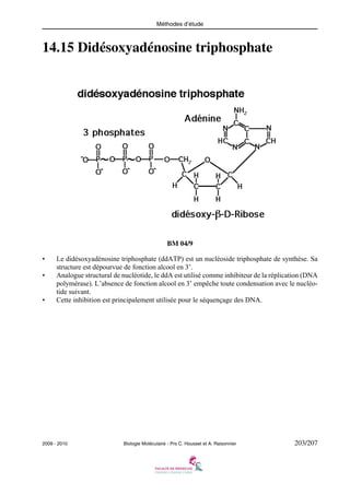 Méthodes d’étude

14.15 Didésoxyadénosine triphosphate

BM 04/9
•
•

•

Le didésoxyadénosine triphosphate (ddATP) est un nucléoside triphosphate de synthèse. Sa
structure est dépourvue de fonction alcool en 3’.
Analogue structural de nucléotide, le ddA est utilisé comme inhibiteur de la réplication (DNA
polymérase). L’absence de fonction alcool en 3’ empêche toute condensation avec le nucléotide suivant.
Cette inhibition est principalement utilisée pour le séquençage des DNA.

2009 - 2010

Biologie Moléculaire - Prs C. Housset et A. Raisonnier

203/207

 