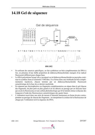 Méthodes d’étude

14.18 Gel de séquence

BM 19/2
•

•

•

•

En utilisant des amorces spécifiques, on fait synthétiser un brin complémentaire du DNA à
lire, en présence d’une faible proportion de didésoxyribonucléotides marqués d’un radical
fluorescent différent pour chaque base.
La DNA polymérase lorsqu’elle a incorporé un tel didésoxyribonucléotide ne peut plus continuer la synthèse faute d’extrémité 3’OH libre. Il se forme donc une multitude de brin complémentaires inachevés, chacun terminé par un didésoxyribonucléotide fluorescent
caractéristique de la base de ce dernier nucléotide.
En séparant par électrophorèse ces fragments complémentaires on sépare dans le gel chacun
des fragments, du plus petit au plus grand et on les détecte au passage par un faisceau laser
qui excite la fluorescence et une cellule photoélectrique qui lit la lumière émise à chacune des
longueurs d’onde des fluorescences caractéristiques des quatre bases.
L’ordinateur reçoit donc une série de mesure d’intensité lumineuses en forme de pics correspondant au passage de chacun des fragments : en interprétant la couleur de la fluorescence de
chaque pic l’ordinateur écrit la séquence du DNA.

2009 - 2010

Biologie Moléculaire - Prs C. Housset et A. Raisonnier

207/207

 