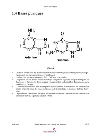 Molécules simples

1.4 Bases puriques

BM 02/1
•
•
•

•

•

Les bases azotées sont des molécules aromatiques dont le noyau est soit une purine (bases puriques), soit une pyrimidine (bases pyrimidiques).
Les bases puriques sont au nombre de 2 : l’adénine et la guanine.
Les purines ont un double noyau aromatique comportant à gauche un cycle hexagonal de
4 carbones et 2 azotes et à droite un cycle pentagonal de 3 carbones (dont 2 communs avec le
précédent) et 2 azotes.
L’adénine est constituée d’un noyau purine dont le carbone 6 est substitué par une fonction
amine. Elle est la seule des bases nucléiques dont la formule ne contient pas d’atome d’oxygène.
La guanine est constituée d’un noyau purine dont le carbone 2 est substitué par une fonction
amine et le carbone 6 par une fonction cétone.

2009 - 2010

Biologie Moléculaire - Prs C. Housset et A. Raisonnier

21/207

 