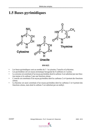 Molécules simples

1.5 Bases pyrimidiques

BM 02/2
•
•
•
•
•

Les bases pyrimidiques sont au nombre de 3 : la cytosine, l’uracile et la thymine.
Les pyrimidines ont un noyau aromatique hexagonal de 4 carbones et 2 azotes.
La cytosine est constituée d’un noyau pyrimidine dont le carbone 4 est substitué par une fonction amine et le carbone 2 par une fonction cétone.
L’uracile est constituée d’un noyau pyrimidine dont les carbones 2 et 4 portent des fonctions
cétone.
La thymine est aussi constituée d’un noyau pyrimidine dont les carbones 2 et 4 portent des
fonctions cétone, mais dont le carbone 5 est substitué par un méthyl.

22/207

Biologie Moléculaire - Prs C. Housset et A. Raisonnier

2009 - 2010

 