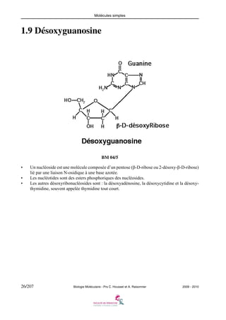 Molécules simples

1.9 Désoxyguanosine

BM 04/5
•
•
•

Un nucléoside est une molécule composée d’un pentose (β-D-ribose ou 2-désoxy-β-D-ribose)
lié par une liaison N-osidique à une base azotée.
Les nucléotides sont des esters phosphoriques des nucléosides.
Les autres désoxyribonucléosides sont : la désoxyadénosine, la désoxycytidine et la désoxythymidine, souvent appelée thymidine tout court.

26/207

Biologie Moléculaire - Prs C. Housset et A. Raisonnier

2009 - 2010

 