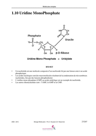 Molécules simples

1.10 Uridine MonoPhosphate

BM 05/3
•
•
•
•

Un nucléotide est une molécule composée d’un nucléoside lié par une liaison ester à un acide
phosphorique.
Les acides nucléiques sont des macromolécules résultant de la condensation de très nombreux
nucléotides, liés par des liaisons phosphodiester.
L’uridine mono phosphate (UMP) ou acide uridylique est un exemple de nucléotide.
Les autres ribonucléotides sont : l’AMP, le GMP et le CMP.

2009 - 2010

Biologie Moléculaire - Prs C. Housset et A. Raisonnier

27/207

 