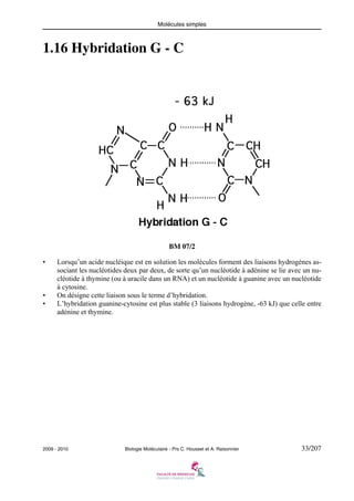 Molécules simples

1.16 Hybridation G - C

BM 07/2
•

•
•

Lorsqu’un acide nucléique est en solution les molécules forment des liaisons hydrogènes associant les nucléotides deux par deux, de sorte qu’un nucléotide à adénine se lie avec un nucléotide à thymine (ou à uracile dans un RNA) et un nucléotide à guanine avec un nucléotide
à cytosine.
On désigne cette liaison sous le terme d’hybridation.
L’hybridation guanine-cytosine est plus stable (3 liaisons hydrogène, -63 kJ) que celle entre
adénine et thymine.

2009 - 2010

Biologie Moléculaire - Prs C. Housset et A. Raisonnier

33/207

 