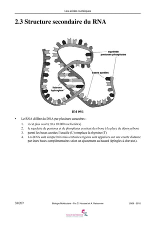 Les acides nucléiques

2.3 Structure secondaire du RNA

BM 09/1
•

Le RNA diffère du DNA par plusieurs caractères :
1.
2.
3.
4.

38/207

il est plus court (70 à 10 000 nucléotides)
le squelette de pentoses et de phosphates contient du ribose à la place du désoxyribose
parmi les bases azotées l’uracile (U) remplace la thymine (T)
Les RNA sont simple brin mais certaines régions sont appariées sur une courte distance
par leurs bases complémentaires selon un ajustement au hasard (épingles à cheveux).

Biologie Moléculaire - Prs C. Housset et A. Raisonnier

2009 - 2010

 