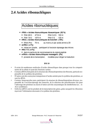 Les acides nucléiques

2.4 Acides ribonucléiques

BM 10
•
•
•
•

•

Il existe de nombreuses molécules d’acides ribonucléiques dans presque tous les compartiments de la cellule et ayant des fonctions variées.
Certains (rRNA) font partie de la structure des ribonucléoprotéines du ribosome, particule responsable de la synthèse des protéines.
D’autres sont des coenzymes transporteurs d’acides aminés pour la synthèse des protéines, ce
sont les tRNA.
Certains, beaucoup plus rares, participent à la structure de ribonucléoprotéines diverses, responsable de l’excision-épissage des transcrits, de la sélection des polyribosomes liés pour
l’adressage des protéines ou encore d’autres activités enzymatiques du métabolisme (ex. : ΔALA synthétase).
Enfin les mRNA sont les produits de la transcription des gènes, grâce auxquels les ribosomes
reçoivent l’information nécessaire à la synthèse des protéines.

2009 - 2010

Biologie Moléculaire - Prs C. Housset et A. Raisonnier

39/207

 