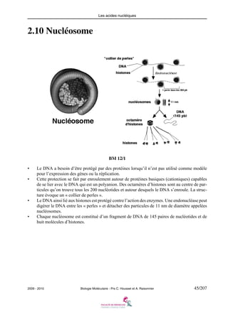 Les acides nucléiques

2.10 Nucléosome

BM 12/1
•
•

•

•

Le DNA a besoin d’être protégé par des protéines lorsqu’il n’est pas utilisé comme modèle
pour l’expression des gènes ou la réplication.
Cette protection se fait par enroulement autour de protéines basiques (cationiques) capables
de se lier avec le DNA qui est un polyanion. Des octamères d’histones sont au centre de particules qu’on trouve tous les 200 nucléotides et autour desquels le DNA s’enroule. La structure évoque un « collier de perles ».
Le DNA ainsi lié aux histones est protégé contre l’action des enzymes. Une endonucléase peut
digérer le DNA entre les « perles » et détacher des particules de 11 nm de diamètre appelées
nucléosomes.
Chaque nucléosome est constitué d’un fragment de DNA de 145 paires de nucléotides et de
huit molécules d’histones.

2009 - 2010

Biologie Moléculaire - Prs C. Housset et A. Raisonnier

45/207

 