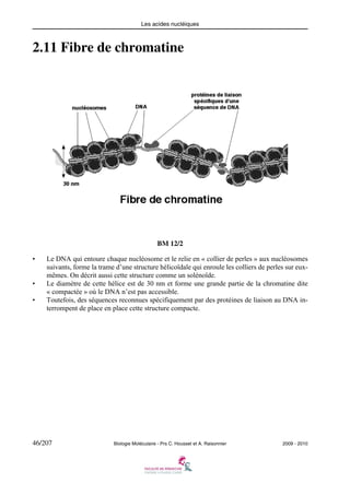 Les acides nucléiques

2.11 Fibre de chromatine

BM 12/2
•

•
•

Le DNA qui entoure chaque nucléosome et le relie en « collier de perles » aux nucléosomes
suivants, forme la trame d’une structure hélicoïdale qui enroule les colliers de perles sur euxmêmes. On décrit aussi cette structure comme un solénoïde.
Le diamètre de cette hélice est de 30 nm et forme une grande partie de la chromatine dite
« compactée » où le DNA n’est pas accessible.
Toutefois, des séquences reconnues spécifiquement par des protéines de liaison au DNA interrompent de place en place cette structure compacte.

46/207

Biologie Moléculaire - Prs C. Housset et A. Raisonnier

2009 - 2010

 