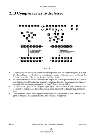 Les acides nucléiques

2.13 Complémentarité des bases

BM 13/1
•

•

•

•

L’hybridation des nucléotides complémentaires peut se faire sur toute la longueur d’un brin
d’acide nucléique : par des liaisons hydrogène, on associe systématiquement les C avec des
G et les G avec des C, les A avec des T et les T avec des A.
En réunissant tous les nucléotides ainsi associés par des liaisons phosphodiester on constitue
une séquence complémentaire de la séquence originale. Ces deux séquences sont obligatoirement orientées dans des sens opposés : on dit qu’elle sont antiparallèles.
De cette façon, grâce à des enzymes spécifiques, une séquence d’acide nucléique dite
« originale » est capable de diriger la synthèse d’une séquence d’acide nucléique complémentaire.
Dans un second temps, cette séquence complémentaire isolée, sera elle aussi capable de diriger la synthèse de la séquence originale dont elle est le complément.

48/207

Biologie Moléculaire - Prs C. Housset et A. Raisonnier

2009 - 2010

 