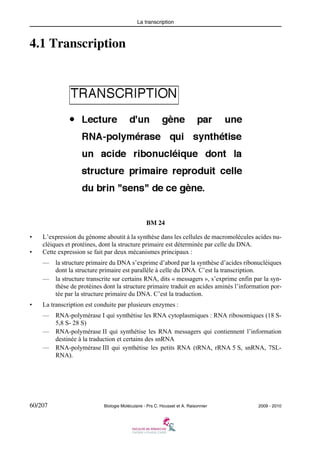 La transcription

4.1 Transcription

BM 24
•
•

L’expression du génome aboutit à la synthèse dans les cellules de macromolécules acides nucléiques et protéines, dont la structure primaire est déterminée par celle du DNA.
Cette expression se fait par deux mécanismes principaux :
—

la structure primaire du DNA s’exprime d’abord par la synthèse d’acides ribonucléiques
dont la structure primaire est parallèle à celle du DNA. C’est la transcription.
— la structure transcrite sur certains RNA, dits « messagers », s’exprime enfin par la synthèse de protéines dont la structure primaire traduit en acides aminés l’information portée par la structure primaire du DNA. C’est la traduction.

•

La transcription est conduite par plusieurs enzymes :
—

RNA-polymérase I qui synthétise les RNA cytoplasmiques : RNA ribosomiques (18 S5,8 S- 28 S)
— RNA-polymérase II qui synthétise les RNA messagers qui contiennent l’information
destinée à la traduction et certains des snRNA
— RNA-polymérase III qui synthétise les petits RNA (tRNA, rRNA 5 S, snRNA, 7SLRNA).

60/207

Biologie Moléculaire - Prs C. Housset et A. Raisonnier

2009 - 2010

 